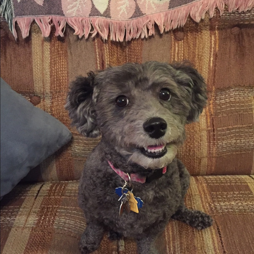 My Posh “BOSS” and Buddy “Bella”!